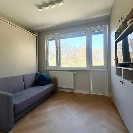 Cozy Batorego *