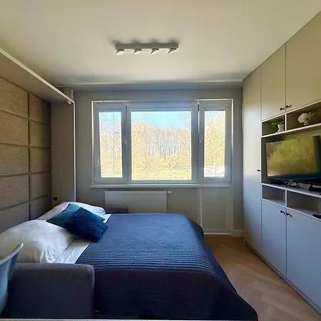 Cozy Batorego *